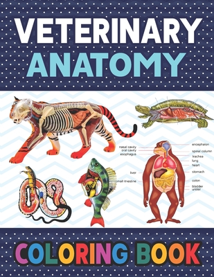 Veterinary Anatomy Coloring Book: Learn The Veterinary Anatomy With Fun & Easy. Animal Anatomy and Veterinary Physiology Coloring Book. Dog Cat Horse By Darkeylone Publication Cover Image