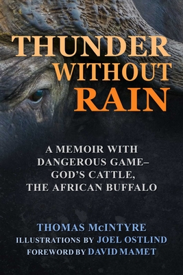 Thunder Without Rain: A Memoir with Dangerous Game, God's Cattle, African Buffalo By Thomas McIntyre Cover Image