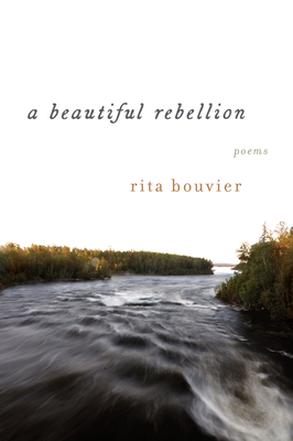 A Beautiful Rebellion By Rita Bouvier Cover Image