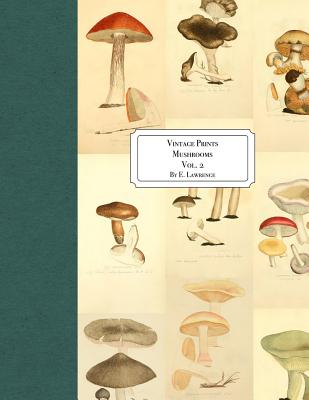 Vintage Prints: Mushrooms: Vol. 2 Cover Image
