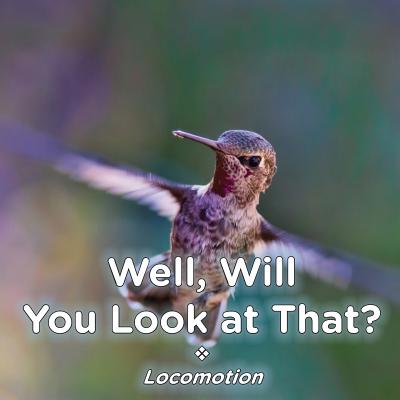Well, Will You Look at That? Locomotion By Brent A. Ford, Lucy McCullough Hazlehurst Cover Image