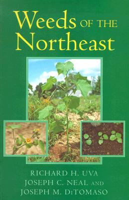 Weeds of the Northeast (Comstock Books) Cover Image