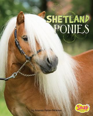 Shetland Ponies (Horse Breeds) (Hardcover)