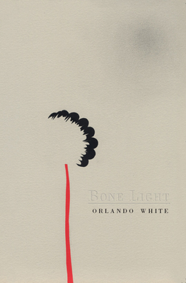 Bone Light Cover Image