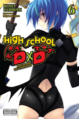 High School DXD (Light Novel): High School DXD, Vol. 10 (Light Novel):  Lionheart of the Academy Festival (Paperback)