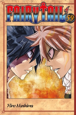 FAIRY TAIL: 100 Years Quest 14 by Hiro Mashima: 9781646518913 |  : Books