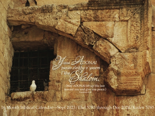 Shalom Calendar Cover Image