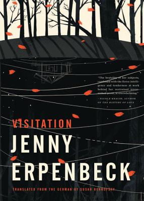 Visitation By Jenny Erpenbeck, Susan Bernofsky (Translated by) Cover Image