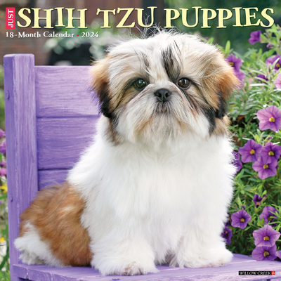 Just Shih Tzu Puppies 2024 12 X 12 Wall Calendar Cover Image