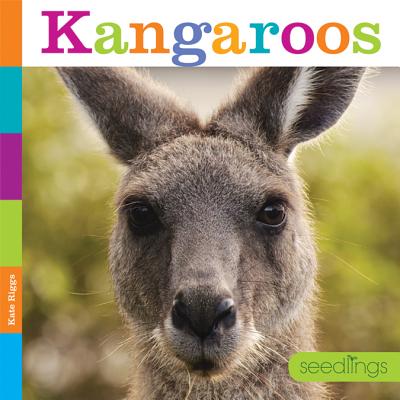 Kangaroos (Seedlings) By Kate Riggs Cover Image