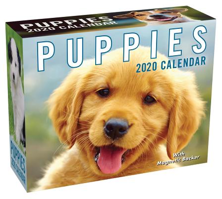 Puppies 2020 Mini Day-to-Day Calendar