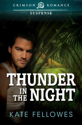Thunder In The Night By Kate Fellowes Cover Image