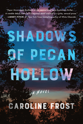 Shadows of Pecan Hollow: A Novel Cover Image