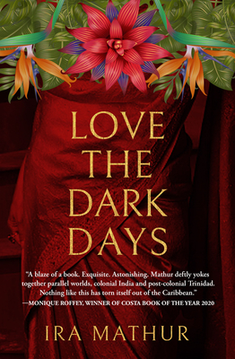 Love the Dark Days By Ira Mathur Cover Image