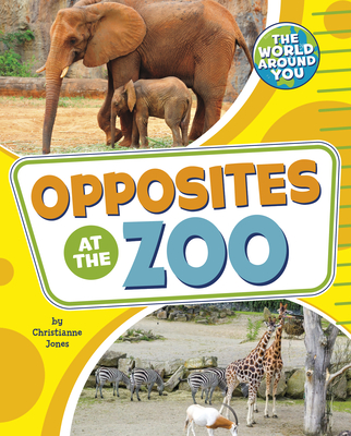 Opposites at the Zoo By Christianne Jones Cover Image