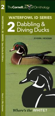 Waterfowl Id Series: 2 Dabbling & Diving Ducks Cover Image