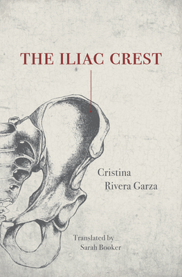 Cover for The Iliac Crest