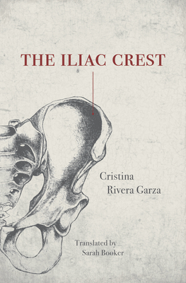 The Iliac Crest | Chevalier's Books