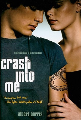 Crash into Me By Albert Borris Cover Image