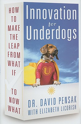Cover for Innovation for Underdogs