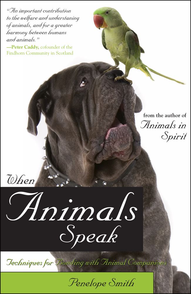 When Animals Speak: Techniques for Bonding With Animal Companions
