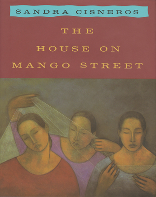 the house on mango street book