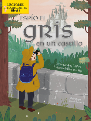 Espío El Gris En Un Castillo (I Spy Gray in a Castle) Cover Image