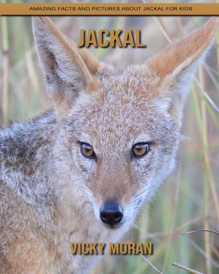 Jackal: Amazing Facts and Pictures about Jackal for Kids (Paperback) |  Brilliant Books