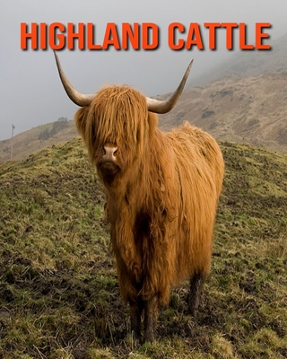 10 Fascinating Facts About Highland Cows