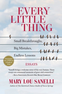 Every Little Thing: Small Breakthroughs, Big Mistakes, Endless Lessons Cover Image