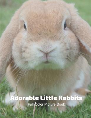 Adorable Little Rabbits Full-Color Picture Book: Bunnies Picture Book for Children, Seniors and Alzheimer's Patients By Fabulous Book Press Cover Image