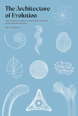 Cover for The Architecture of Evolution