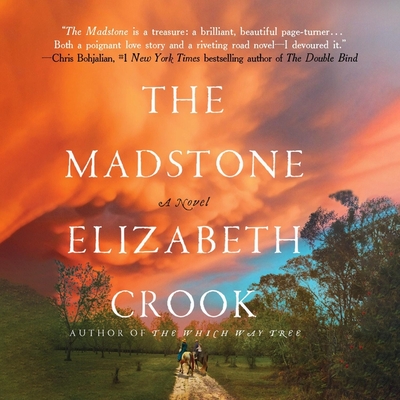The Madstone Cover Image