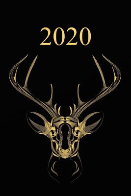 2020: Calendario e Agenda settimanale 2020 + calendario mensile + 20 pagine Indirizzi +20 pagine foderate +20 pagine Blanco By Gabi Siebenhuhner Cover Image