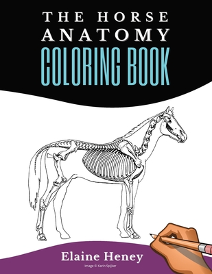 Horse Anatomy Coloring Book For Adults - Self Assessment Equine Coloring Workbook: Test Your Knowledge - For Equestrians & Veterinary Students By Elaine Heney Cover Image