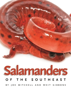 Salamanders of the Southeast By Joe Mitchell, Whit Gibbons Cover Image