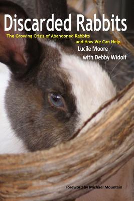 Discarded Rabbits: The Growing Crisis of Abandoned Rabbits and How We Can Help Cover Image