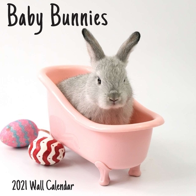 Baby Bunnies 2021 Wall Calendar: Baby Bunnies 2021 Calendar, 18 Months. Cover Image