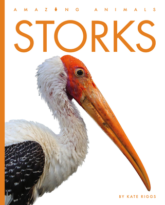 Storks (Amazing Animals) By Kate Riggs Cover Image