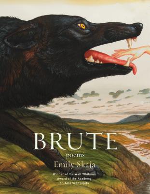 Cover Image for Brute: Poems