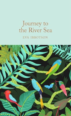 Cover for Journey to the River Sea