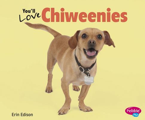 son chiweenies leales