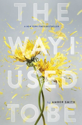 The Way I Used to Be By Amber Smith Cover Image