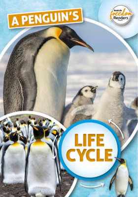A Penguin's Life Cycle (Booklife Freedom Readers) By Madeline Tyler Cover Image