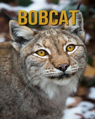 Bobcat: Fascinating Bobcat for Kids with Stunning Pictures! By Jessica Leonardo Cover Image