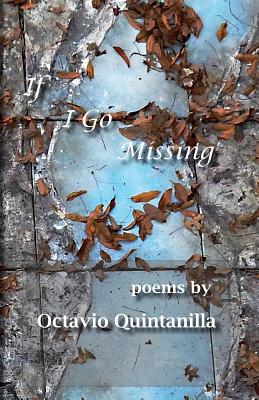 If I Go Missing By Octavio Quintanilla Cover Image