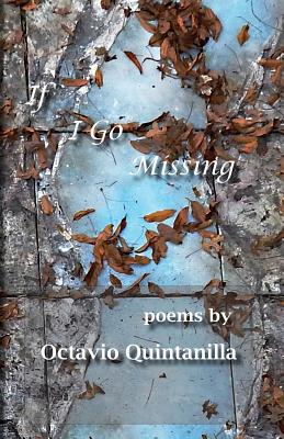 If I Go Missing Cover Image