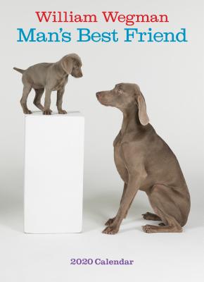 William Wegman Man's Best Friend 2020 Wall Calendar (Calendar) | Tattered  Cover Book Store