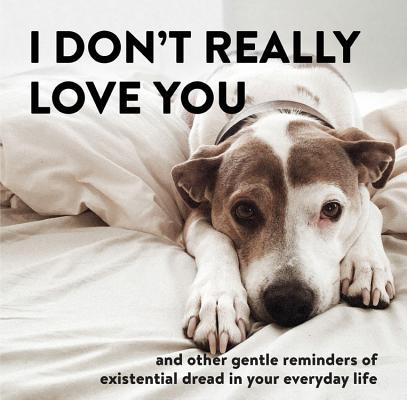 I Don't Really Love You: And Other Gentle Reminders of Existential Dread in Your Everyday Life By Alex Beyer Cover Image