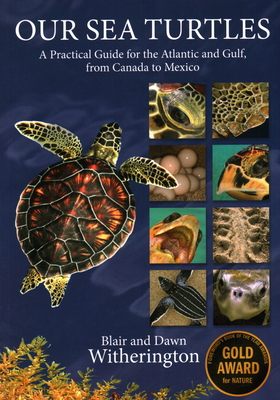 Our Sea Turtles: A Practical Guide for the Atlantic and Gulf, from Canada to Mexico By Blair Witherington, Dawn Witherington Cover Image